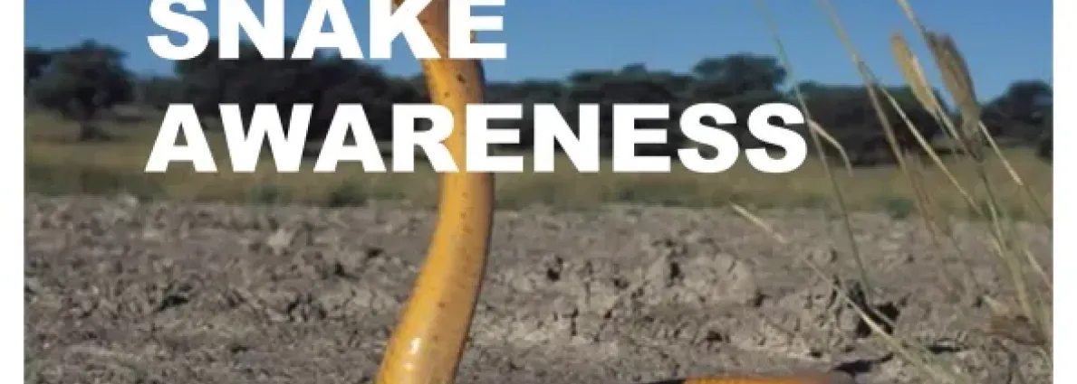 awarness