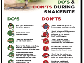 snake awarness